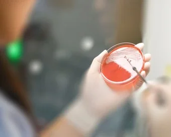 © Pornpak Khunatorn/Getty Images