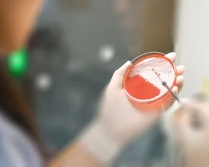 © Pornpak Khunatorn/Getty Images