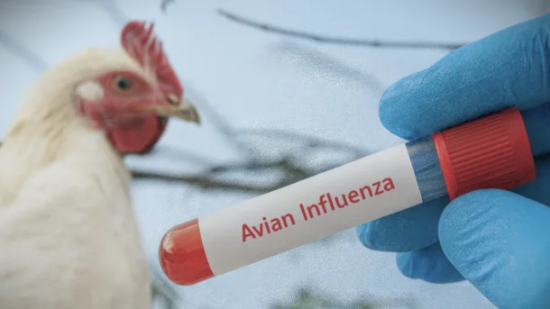 [Translate to English:] 